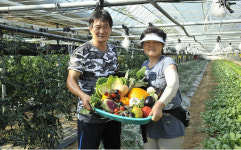 청정 봉화서 희귀채소 메카 꿈꿔요