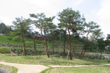 영주 소외계층과 함께하는 녹색 나눔 숲 조성