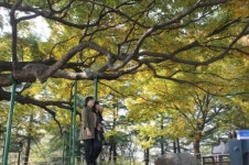 현풍휴게소 `500년 느티나무 테마공원` 인기
