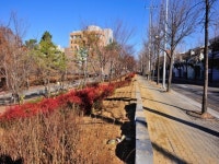 경북대 정문 담장 `녹색공간`으로 변신