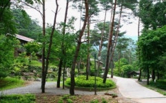 산림욕과 웰빙음식 즐기는 힐링여행