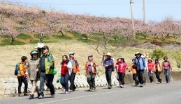 경산 `동구 밖 과수원길` 조성