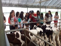 포항 동지여중, 교과연계 체험학습 참여