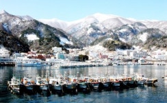 울릉도 환상적 설경 만나는 길 많아진다