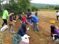 포항 송도중, 신광면 비학산 학마을서 농촌체험
