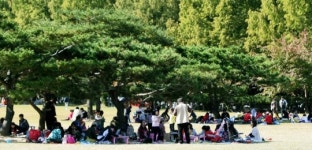 `해맑은 동심` 원고지·화폭에 가득 피다