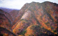 최복룡·강희룡 서화동행展 보러 오세요