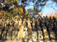 서울 도봉산