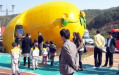 남성주휴게소에 `성주참외 홍보관` 개관