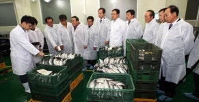 안동간고등어 안심하고 드세요