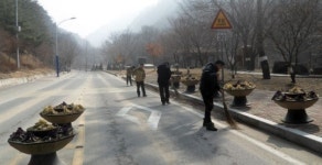 봉화 청량산관리사무소 환경정비