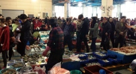 죽도어시장 손님들로 북적