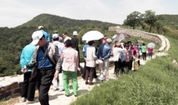 22일부터 시티투어 시작… 올 야간·반일투어 신설