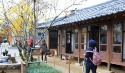 스토리텔링 입은 달구벌, 감성·체험 여행지로 탈바꿈