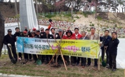 포항 중앙동주민센터-개발자문위 덕수공원 나무 심어
