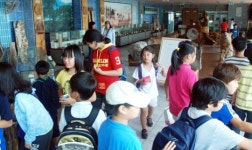 5월엔 볼거리 많은 영덕으로