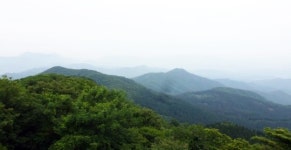 전남 장성 축령산