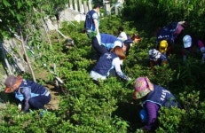 구룡포읍 푸른포항21 충혼탑 입구 잡초 제거