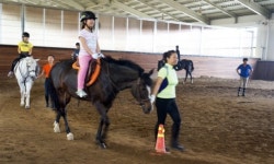 청도풍각초 학생 39명 승마체험학습