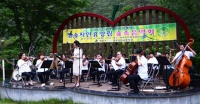 울창한 숲 사이로 음악은 흐르고…