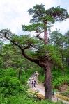 생태·문화·관광 기반으로 평생건강·치유도시로 개발