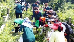 죽도 관광지구 정화활동 앞장