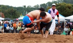 의성군민 화합의 축제 펼친다