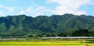 경주시 건천읍 신평2리 마실