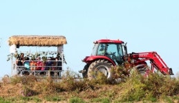 수천여명 화합의 어깨춤… 지역축제와 어울려 신명 `두배`
