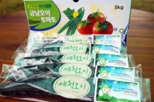 칠곡 금남오이, 먹기 좋은 `세척오이`로 개발