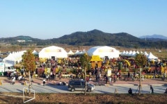구미 낙동강체육공원 축제 메카로