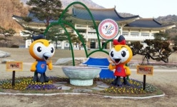 세계군인체전 홍보 조형물 설치