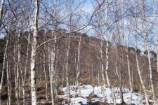 전북 고창 구황산