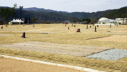 청송 테마캠핑장 개장 운영