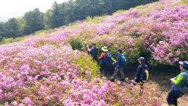 남원 봉화산