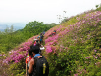 지리산 팔랑치·바래봉