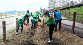 포항 효곡동 새마을協·부녀회 꽃동산 조성