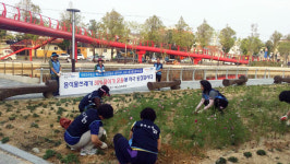 포항 해도동주민센터 등 포항운하 둘레길 화단 정비