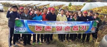 상주 화동면사무소 포도밭 비닐걷기 일손 도와