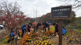 포항 대송면사무소 칠성천·운제산 환경정비 실시