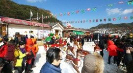 봉화 산타마을 `대박` 겨울명소 됐네