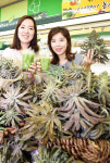 하우스 生와송 드셔보세요