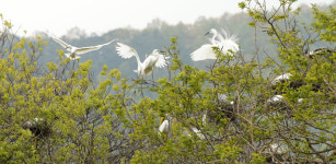 우리들 보금자리 여기에