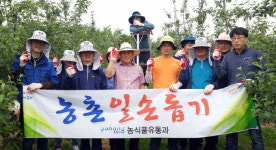 기북면 과수농가 일손 돕기