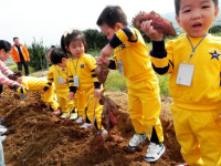 몸·마음 치유하는 힐링 `친환경 농장` 인기