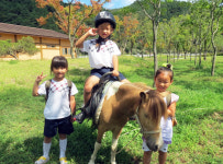 고령 운수초 병설유치원 승마 체험학습