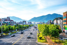 공원녹지-가로녹지-산림녹지 잇는 녹색 네트워크 만들어야