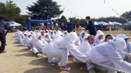 전통 앉은 줄다리기 재현행사
