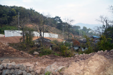 도로공사로 닭 폐사·산란 감소