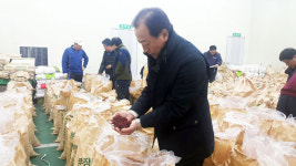 중화농협화북지소주유소 | "잘 말린 오미자로 겨울건강 지키세요"